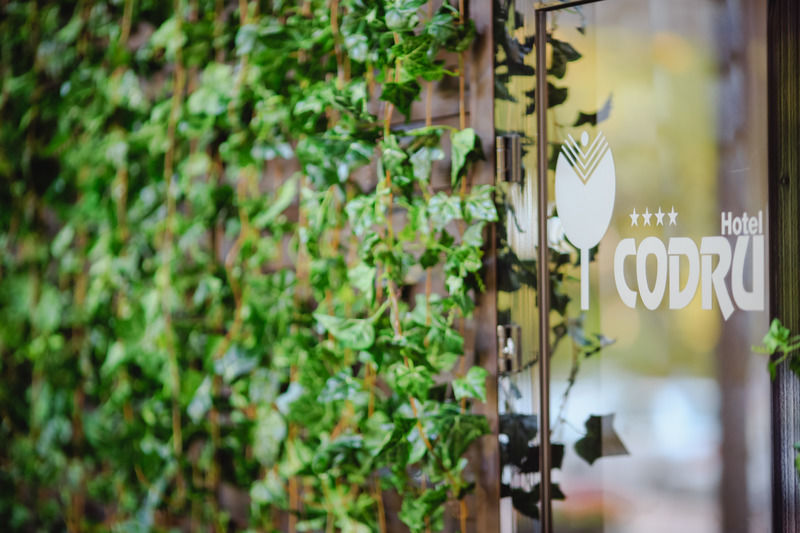 Codru Hotel Kišiněv Exteriér fotografie